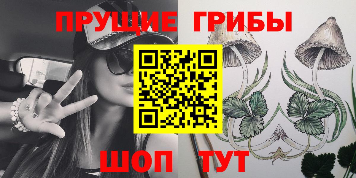 Псилоцибиновые грибы мицелий  Галлюциногенные грибы Psilocybe  Электрогорск  Вход с VPN 