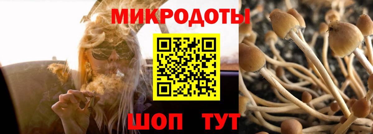 Псилоцибиновые грибы GOLDEN TEACHER Электрогорск